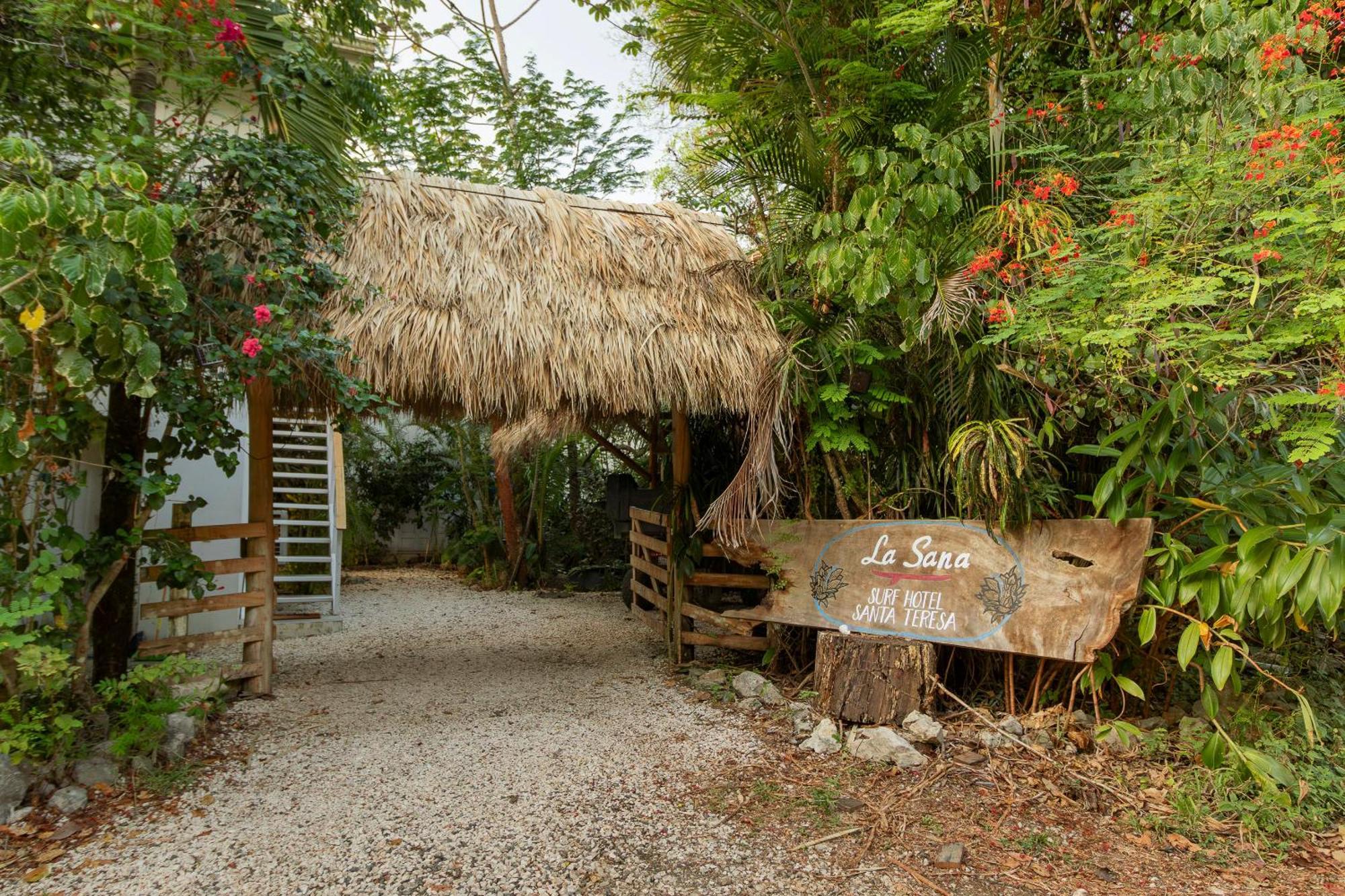 La Sana Surf Hotel, New Management, Few Mn Drive To The Beach Playa Santa Teresa  外观 照片