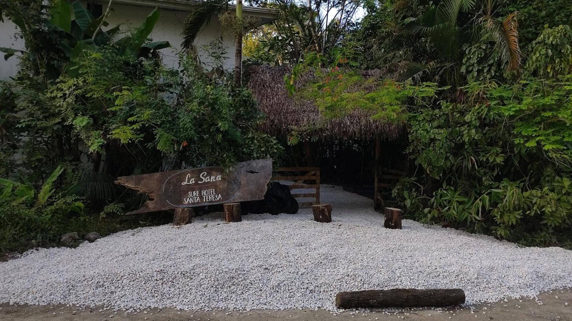 La Sana Surf Hotel, New Management, Few Mn Drive To The Beach Playa Santa Teresa  外观 照片