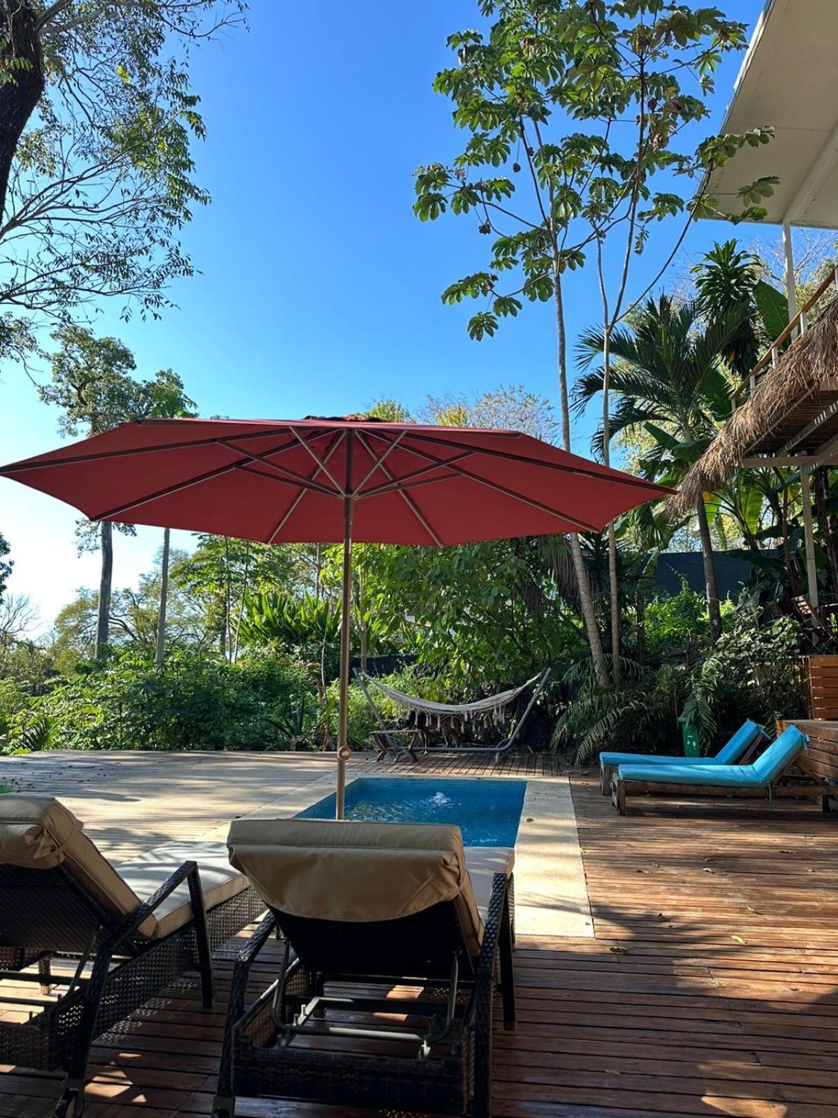 La Sana Surf Hotel, New Management, Few Mn Drive To The Beach Playa Santa Teresa  外观 照片
